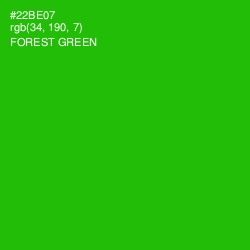 #22BE07 - Forest Green Color Image